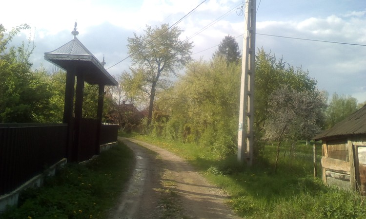 Country road take me home!