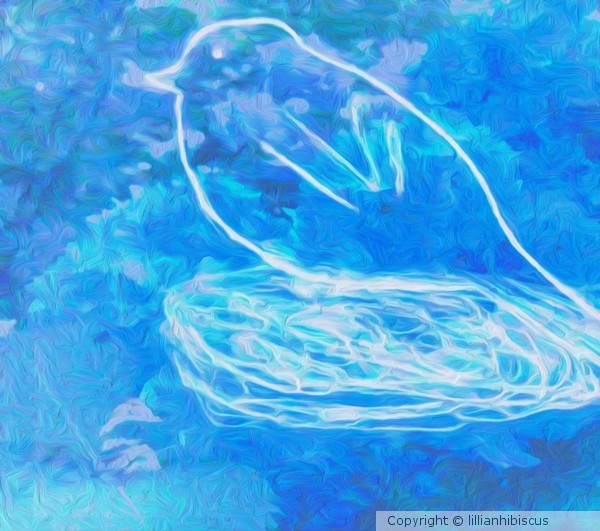 Bathed In Blue