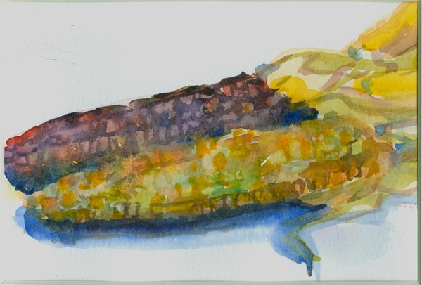 Indian Corn 