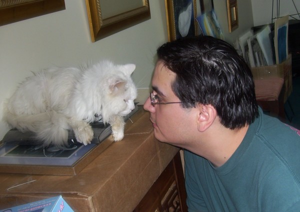The Standoff!!