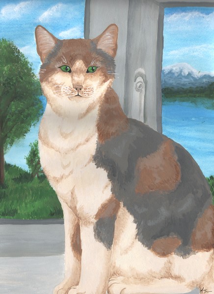 Cat in the Window