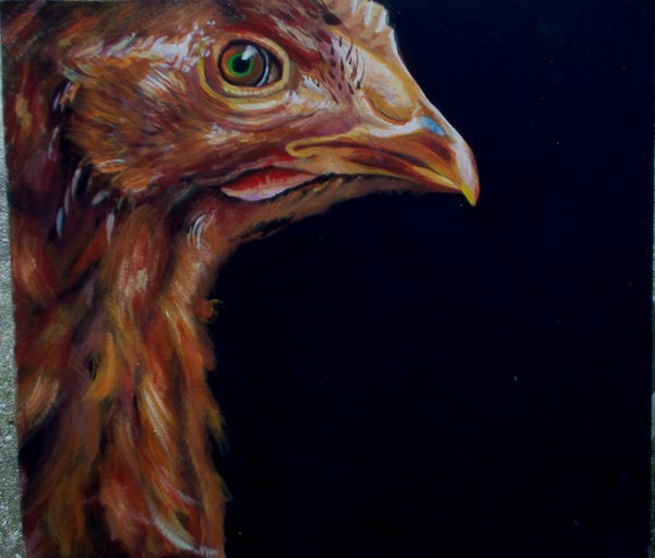 Brown Hen