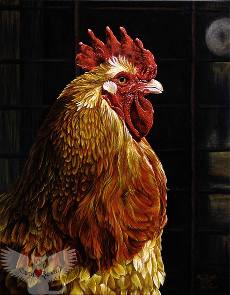 Fowl Forlorn