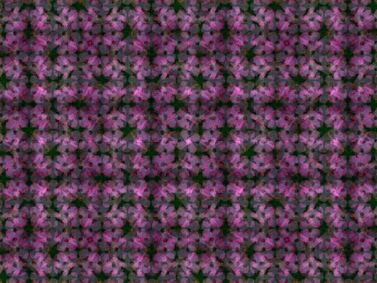 Digital Design 33