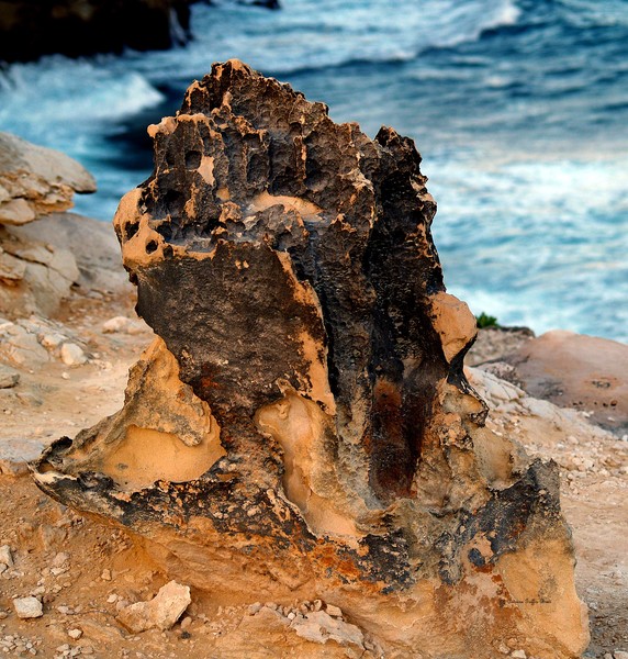 Nature's Sculptures II