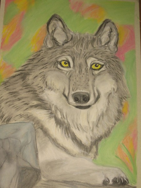 Wolf Sitting Under Autumn Trees