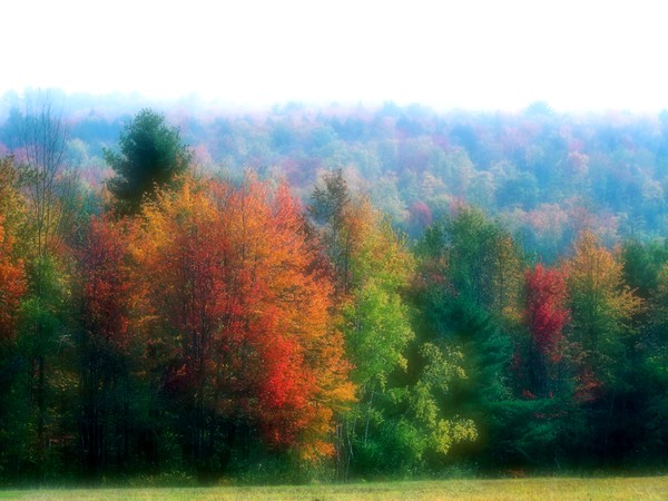 Beginning of Autum