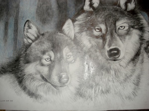 grafice_003