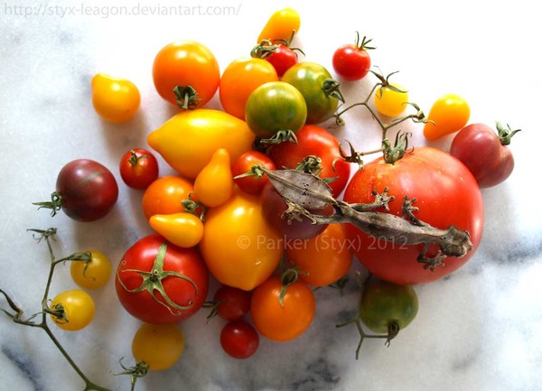 Phantastic Tomatoes 2