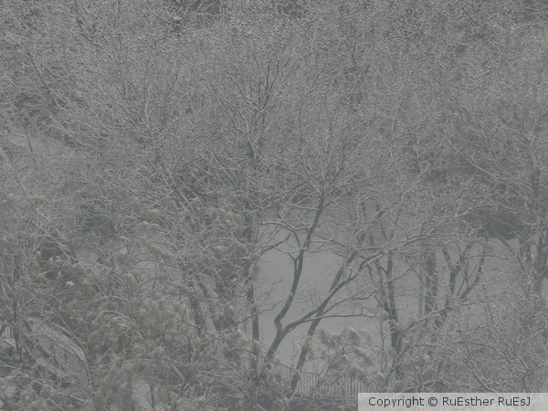 First Day of Snow