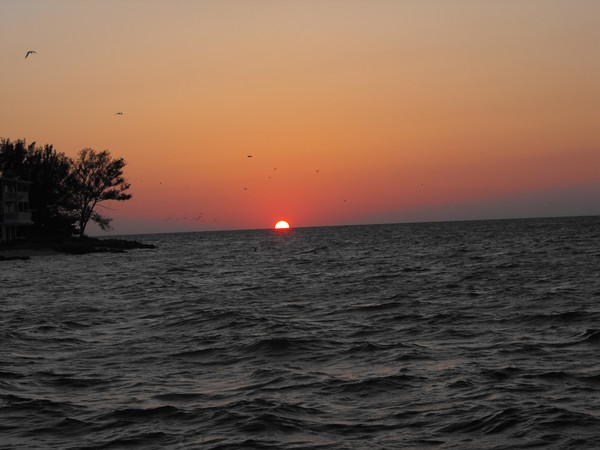 Multicolor Sunset