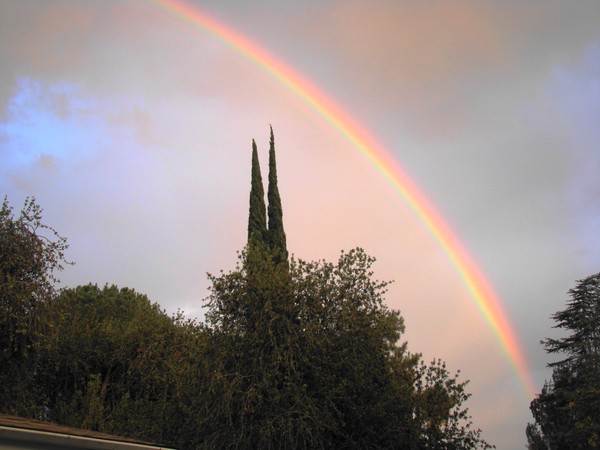 Rainbow 2