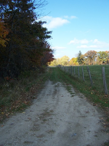 A Forgiving Path