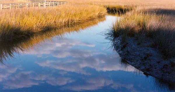 Ragged Island 2