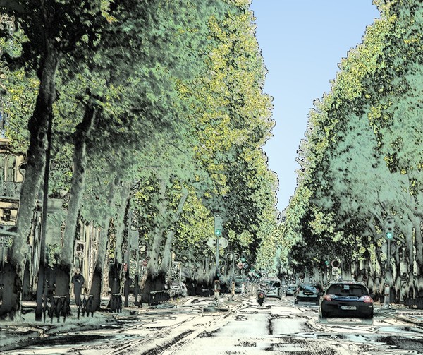 urban forest