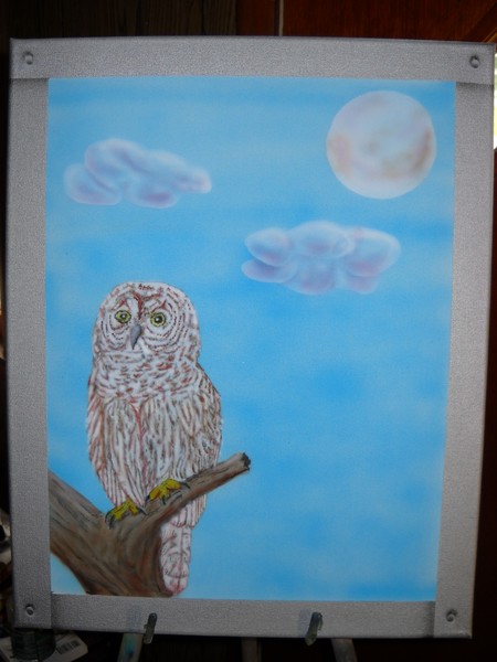 owl