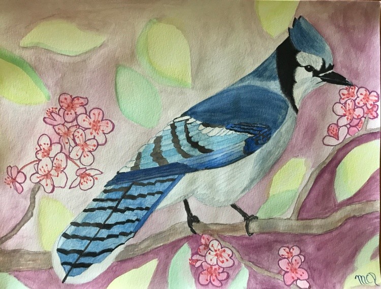 Blue Jay