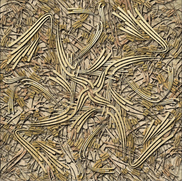 driftwood 2