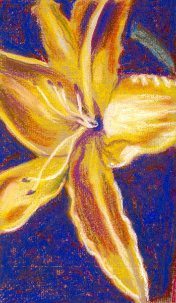 Flame Lilly