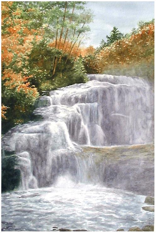 Bald Falls
