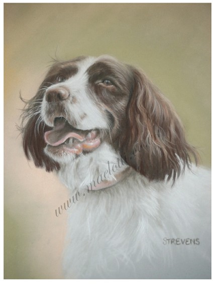 Sally, pastel on velour