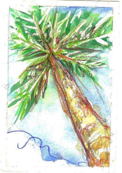 Single Palm Sky