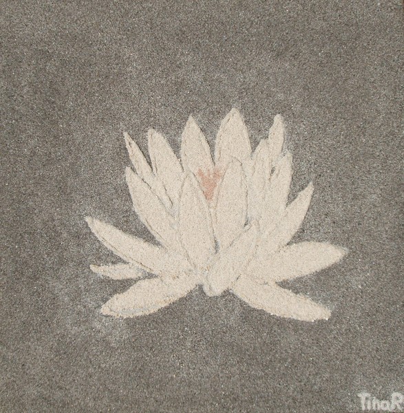 Lotus