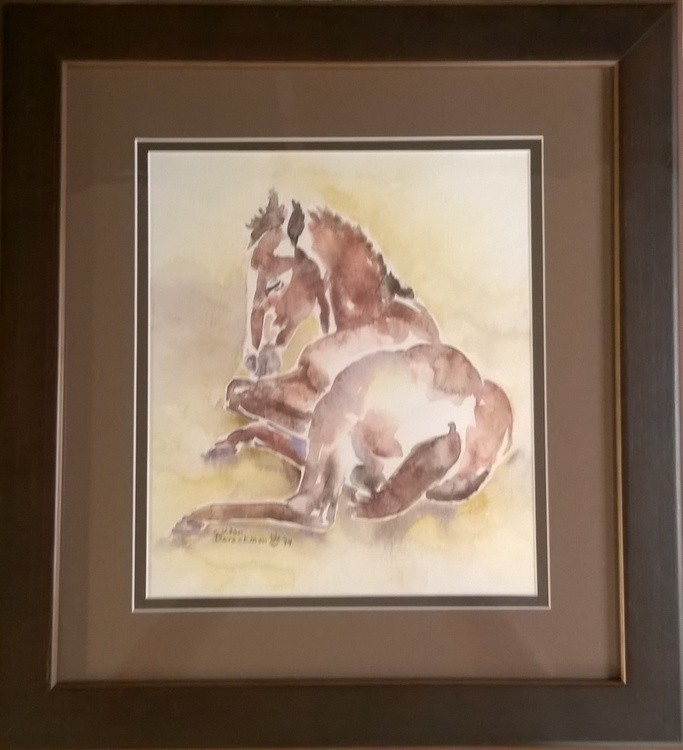 sleeping foal framed 3a
