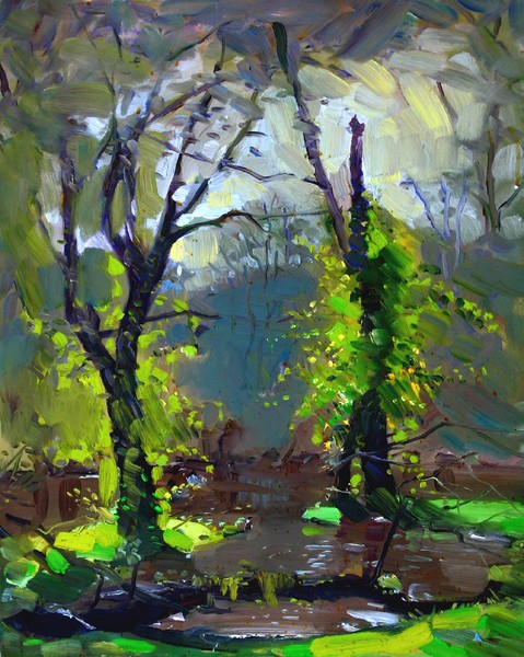Sun after Rain