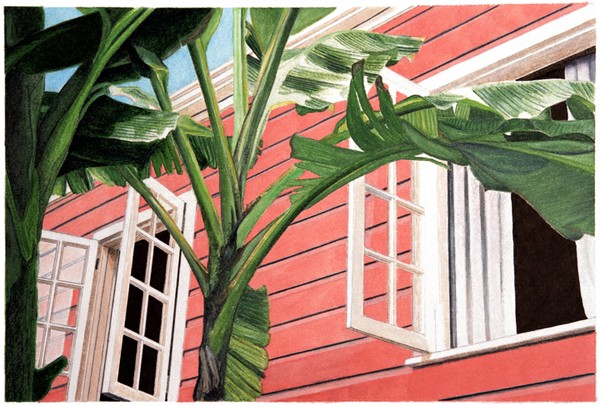 Tropical Breeze