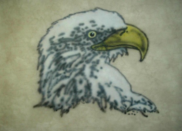 eagle's stare 7