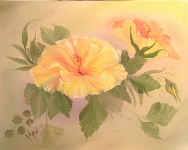 Hibiscus