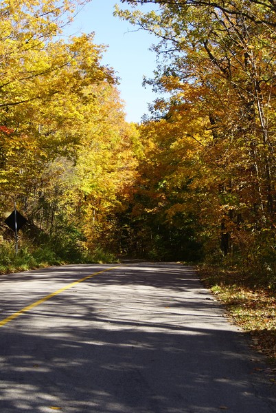 Down The Road