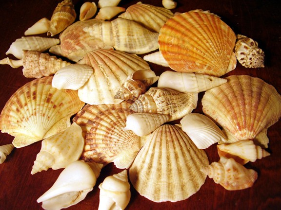 Empty shells