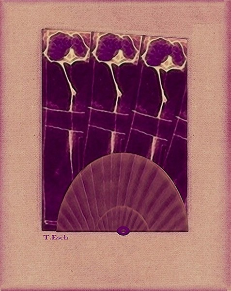 ThreeViolets