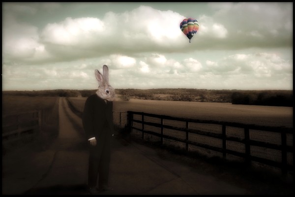 rabbitman 