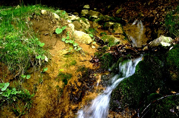 Water Source