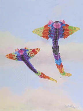 Double Manta's