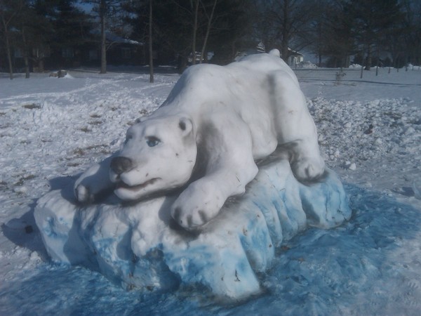 Polar Bear