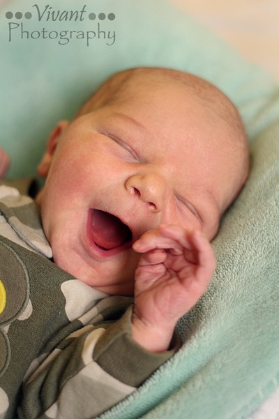 one day old