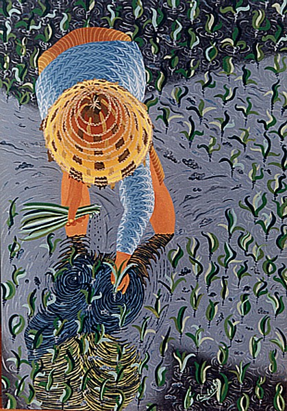 RICE FIELDS