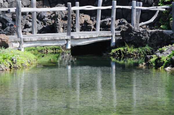 bridge