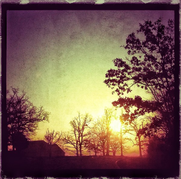 Morning Grunge