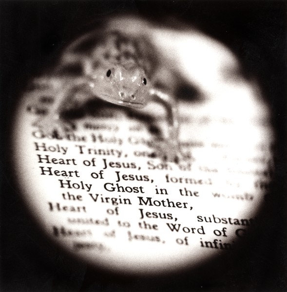 Frog Jesus