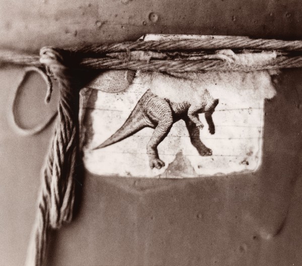 Captured fossil