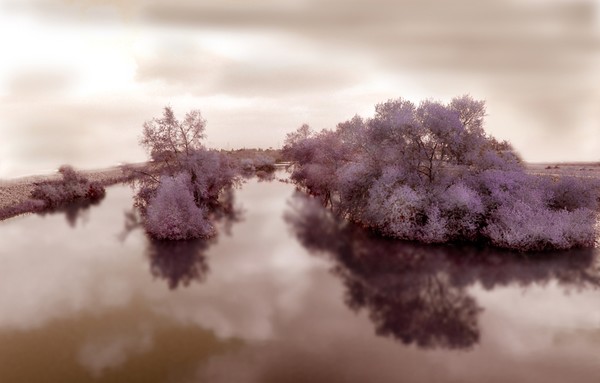River 19.900x600