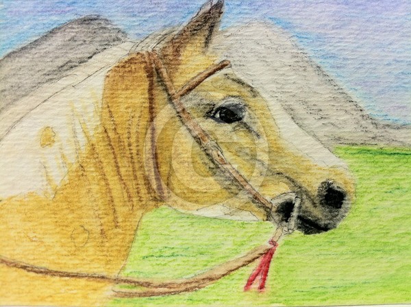 Prairie Wind