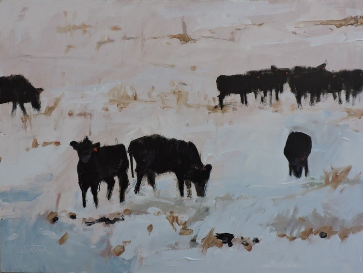 Cows in Snow
