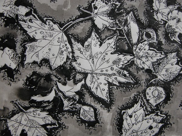 Autunm  Leaves