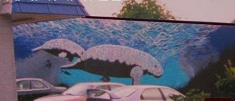 manatee mural